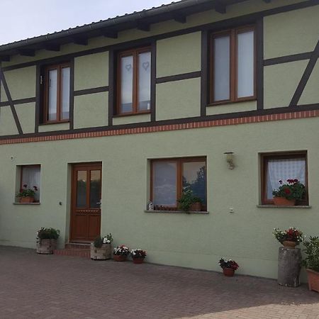Ferienhaus Am Stadtpark Ballenstedt Bagian luar foto